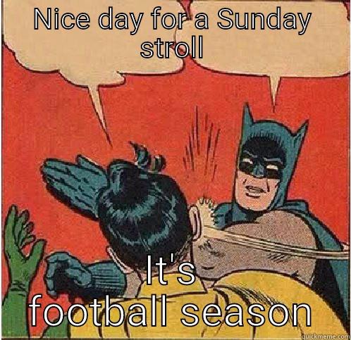 It's that time - NICE DAY FOR A SUNDAY STROLL IT'S FOOTBALL SEASON Batman Slapping Robin