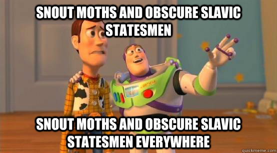 Snout Moths and obscure slavic statesmen Snout Moths and obscure slavic statesmen everywhere  Buzz Glitter