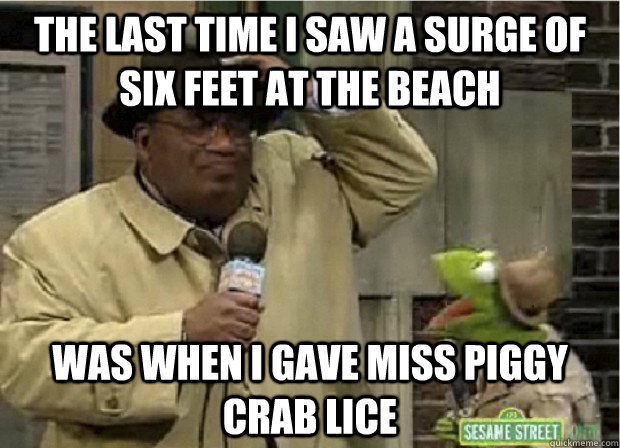 the last time i saw a surge of six feet at the beach was when i gave miss piggy crab lice  Foul Storm Joke Frog