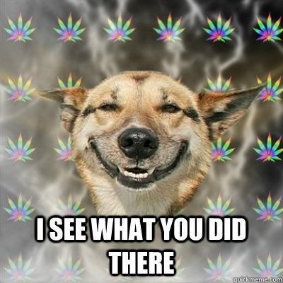  i see what you did there  Stoner Dog