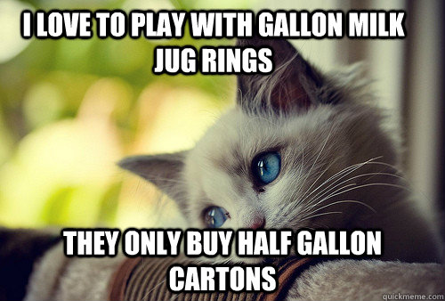 I love to play with gallon milk jug rings They only buy half gallon cartons  First World Problems Cat