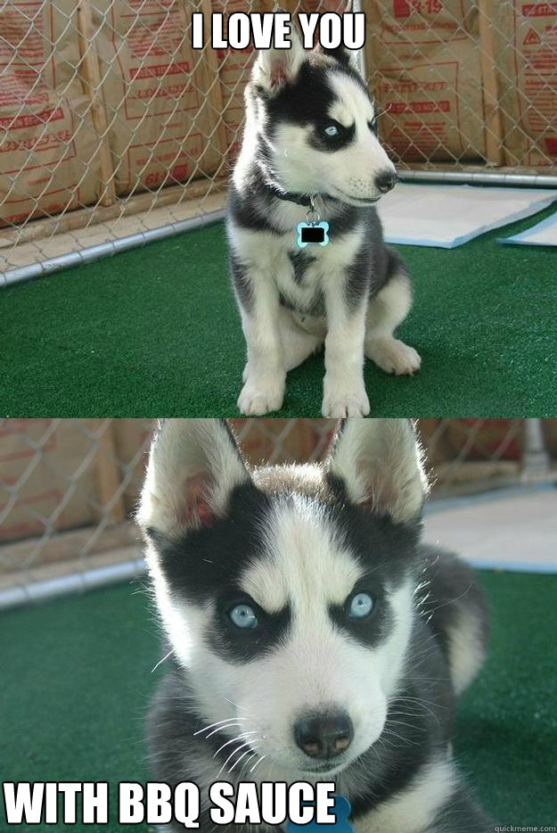 I love you with bbq sauce  Insanity puppy