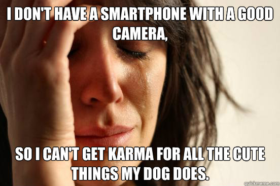 I don't have a smartphone with a good camera, so I can't get karma for all the cute things my dog does.  First World Problems