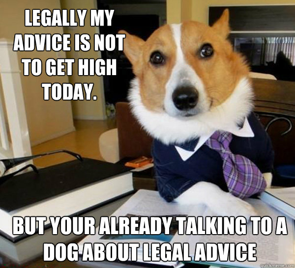 Legally my advice is not to get high today. But your already talking to a dog about legal advice  Lawyer Dog