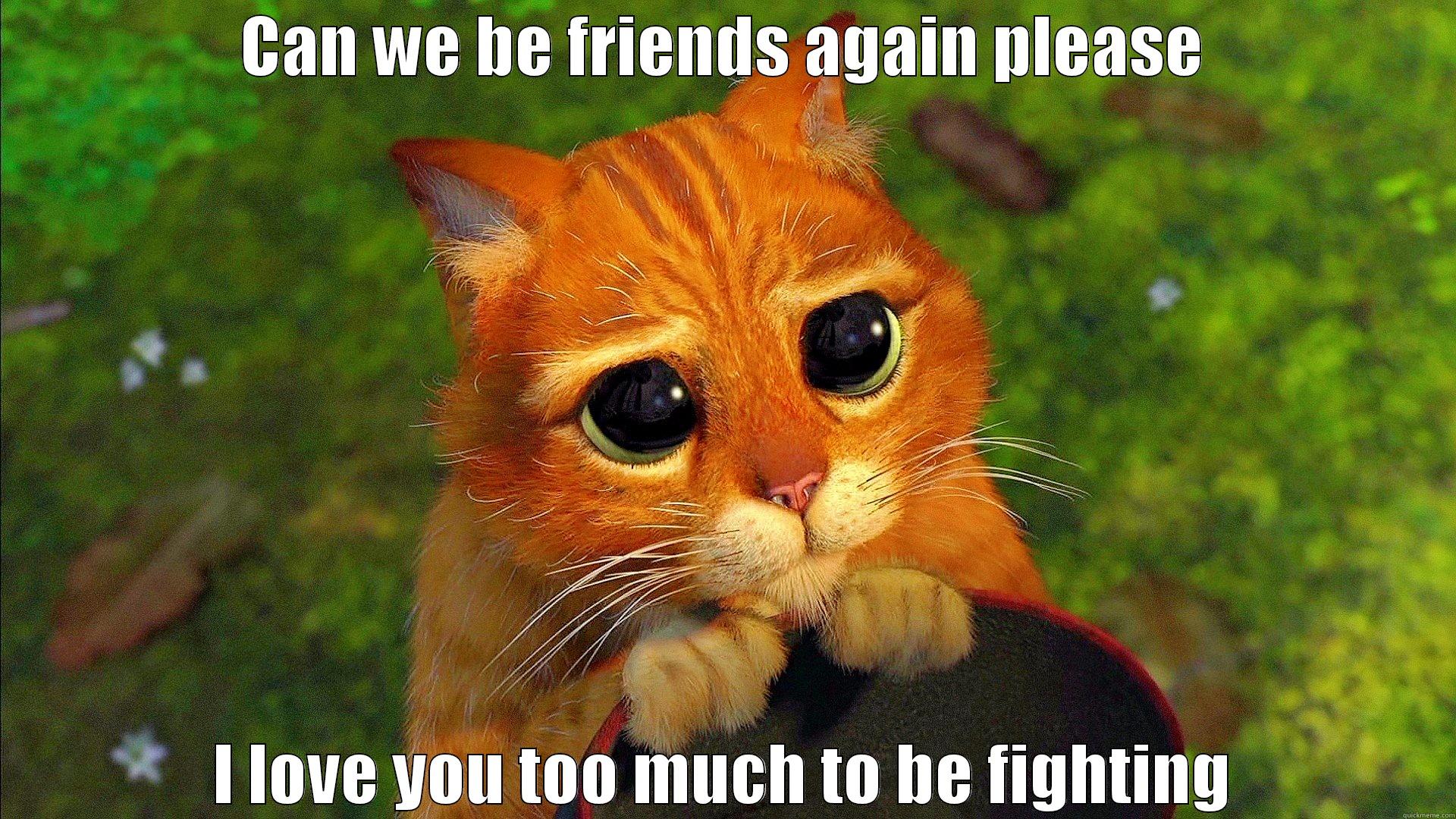 sad cat - CAN WE BE FRIENDS AGAIN PLEASE I LOVE YOU TOO MUCH TO BE FIGHTING Misc