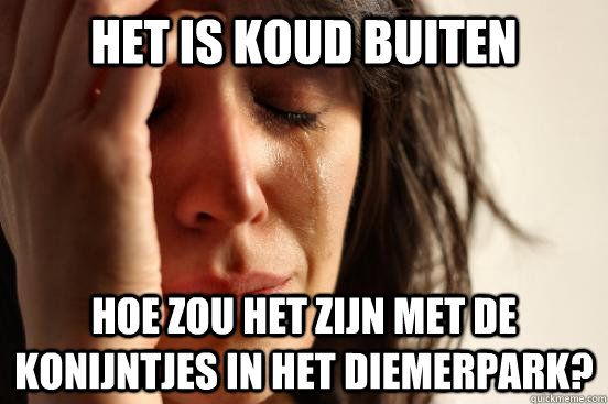 Het is koud buiten hoe zou het zijn met de konijntjes in het diemerpark?  First World Problems