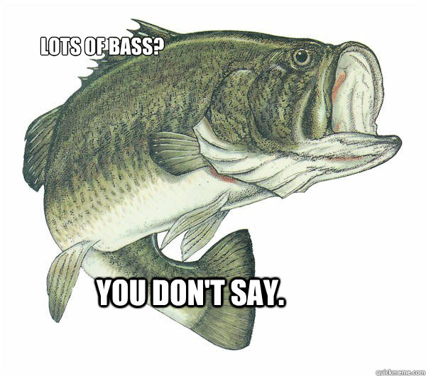 You don't say. Lots of bass?  Shocked Fish