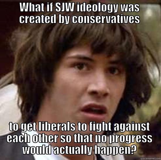WHAT IF SJW IDEOLOGY WAS CREATED BY CONSERVATIVES TO GET LIBERALS TO FIGHT AGAINST EACH OTHER SO THAT NO PROGRESS WOULD ACTUALLY HAPPEN? conspiracy keanu