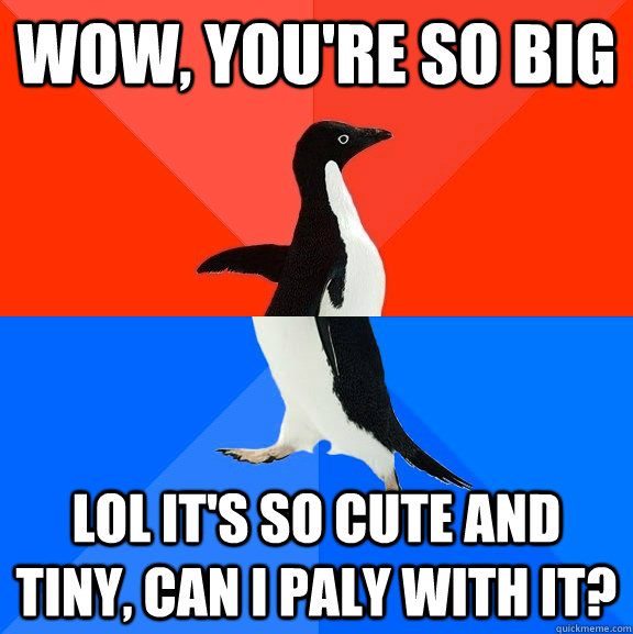 wow, you're so big lol it's so cute and tiny, can I paly with it?  Socially Awesome Awkward Penguin