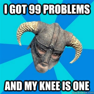 I Got 99 Problems And My Knee Is One - I Got 99 Problems And My Knee Is One  Skyrim Stan