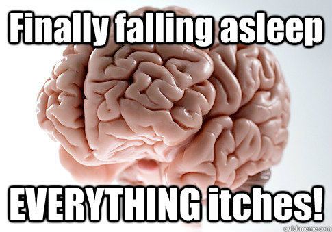 Finally falling asleep EVERYTHING itches!   Scumbag Brain