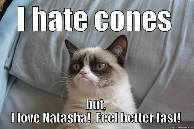 I hate cones - I HATE CONES BUT, I LOVE NATASHA!  FEEL BETTER FAST! Grumpy Cat