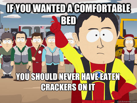if you wanted a comfortable bed you should never have eaten crackers on it - if you wanted a comfortable bed you should never have eaten crackers on it  Captain Hindsight