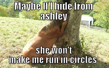 MAYBE IF I HIDE FROM ASHLEY SHE WON'T MAKE ME RUN IN CIRCLES  Misc