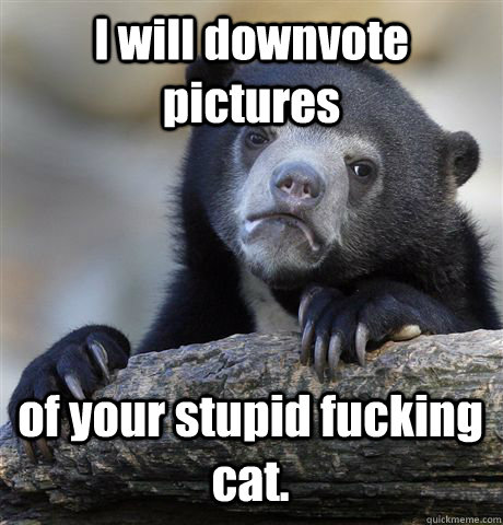 I will downvote pictures of your stupid fucking cat.   Confession Bear