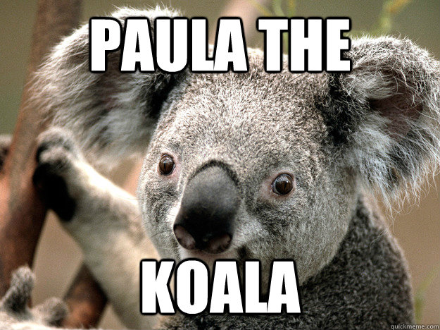 Paula The Koala  