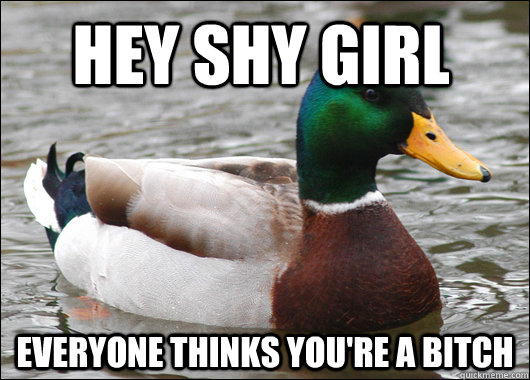 Hey shy girl everyone thinks you're a bitch  Actual Advice Mallard