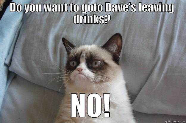 DO YOU WANT TO GOTO DAVE'S LEAVING DRINKS? NO! Grumpy Cat