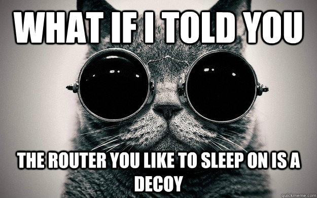 What if i told you the router you like to sleep on is a decoy - What if i told you the router you like to sleep on is a decoy  Morpheus Cat Facts