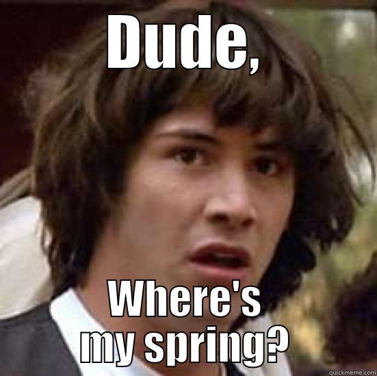 DUDE, WHERE'S MY SPRING? conspiracy keanu