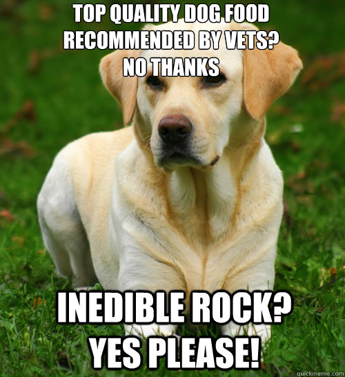 top quality dog food recommended by vets? No thanks inedible rock? Yes please!  Dog Logic