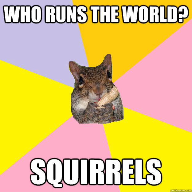 Who Runs The world? Squirrels  - Who Runs The world? Squirrels   Hypochondriac Squirrel