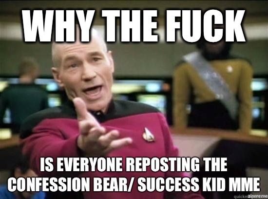 Why the fuck is everyone reposting the confession bear/ success kid mme  Annoyed Picard HD