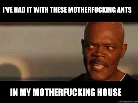 in my motherfucking house I've had it with these motherfucking ants  Angry Samuel Jackson