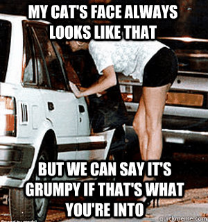 My cat's face always looks like that But we can say it's grumpy if that's what you're into  Karma Whore
