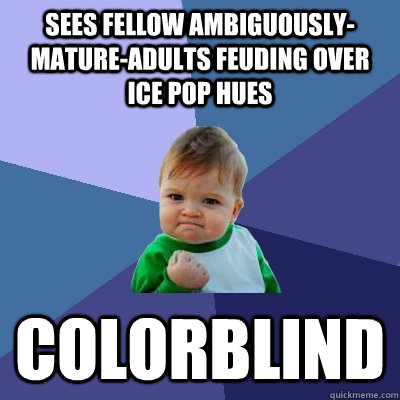 sees fellow ambiguously-mature-adults feuding over ice pop hues colorblind  Success Kid