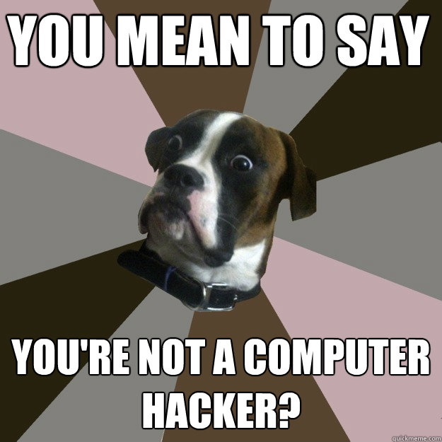 YOU MEAN TO SAY YOU'RE NOT A COMPUTER HACKER?  