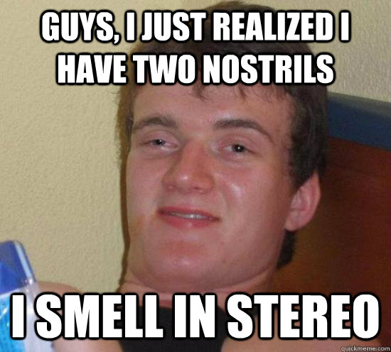 guys, i just realized i have two nostrils I smell in stereo  Really High Guy
