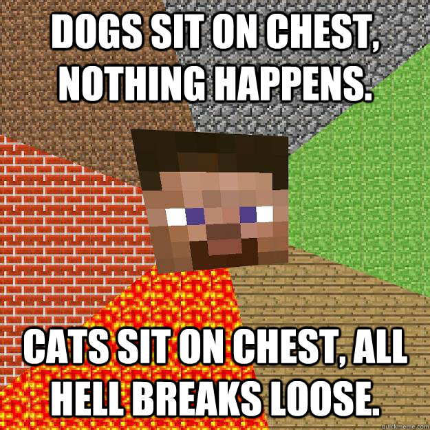 Dogs sit on chest, nothing happens. Cats sit on chest, all hell breaks loose. - Dogs sit on chest, nothing happens. Cats sit on chest, all hell breaks loose.  Minecraft