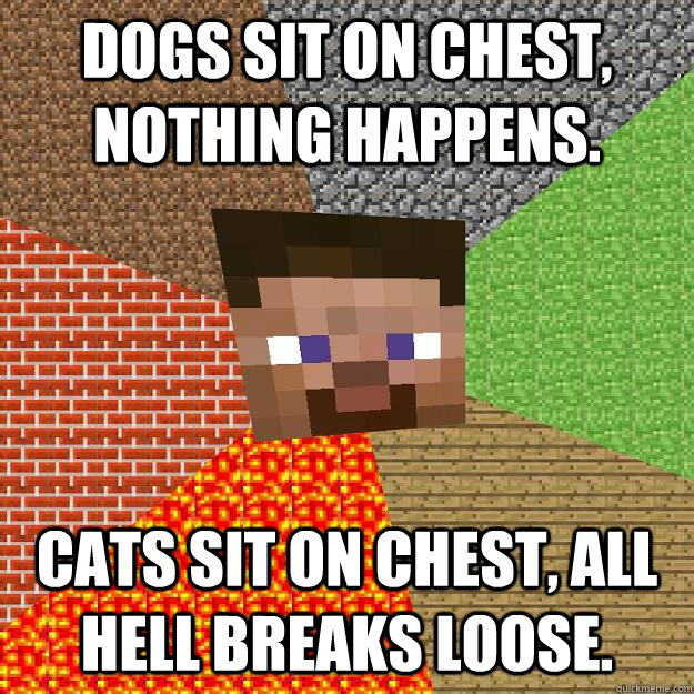 Dogs sit on chest, nothing happens. Cats sit on chest, all hell breaks loose.  Minecraft