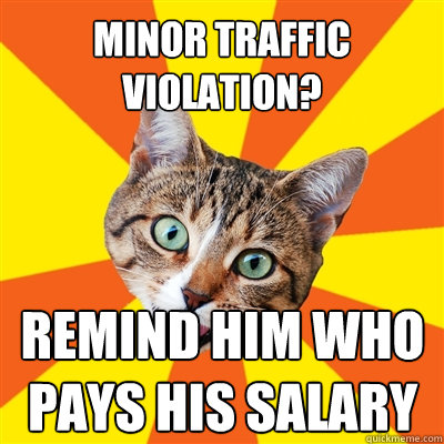 Minor traffic violation? remind him who pays his salary  Bad Advice Cat