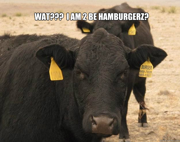 wat???  i am 2 be hamburgerz?  LOL Cow