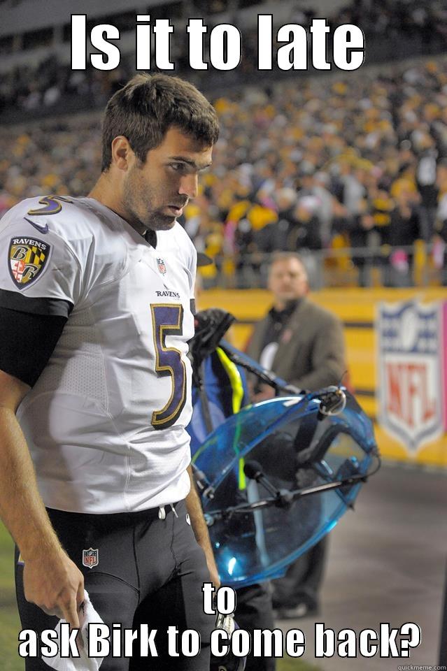 Flacco scared face - IS IT TO LATE TO ASK BIRK TO COME BACK? Misc
