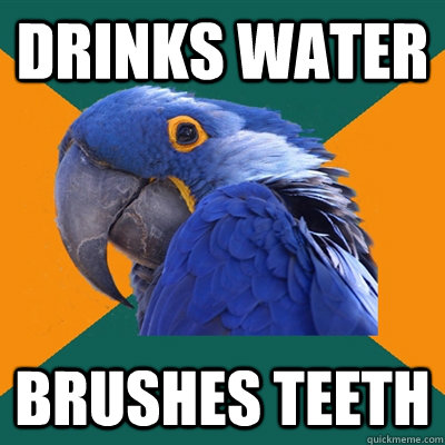 Drinks water brushes teeth  Paranoid Parrot