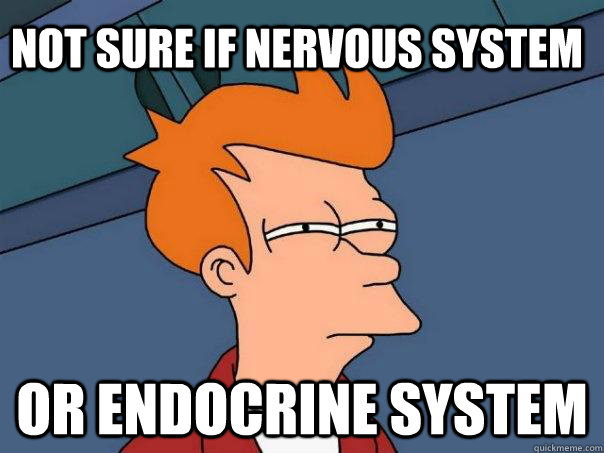 not sure if nervous system or endocrine system - not sure if nervous system or endocrine system  Futurama Fry