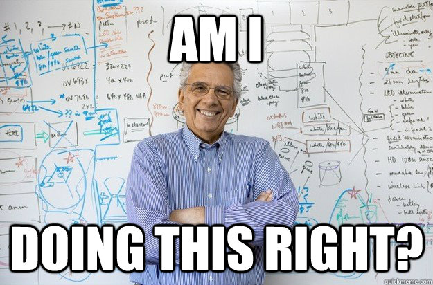 Am I Doing this right?  Engineering Professor
