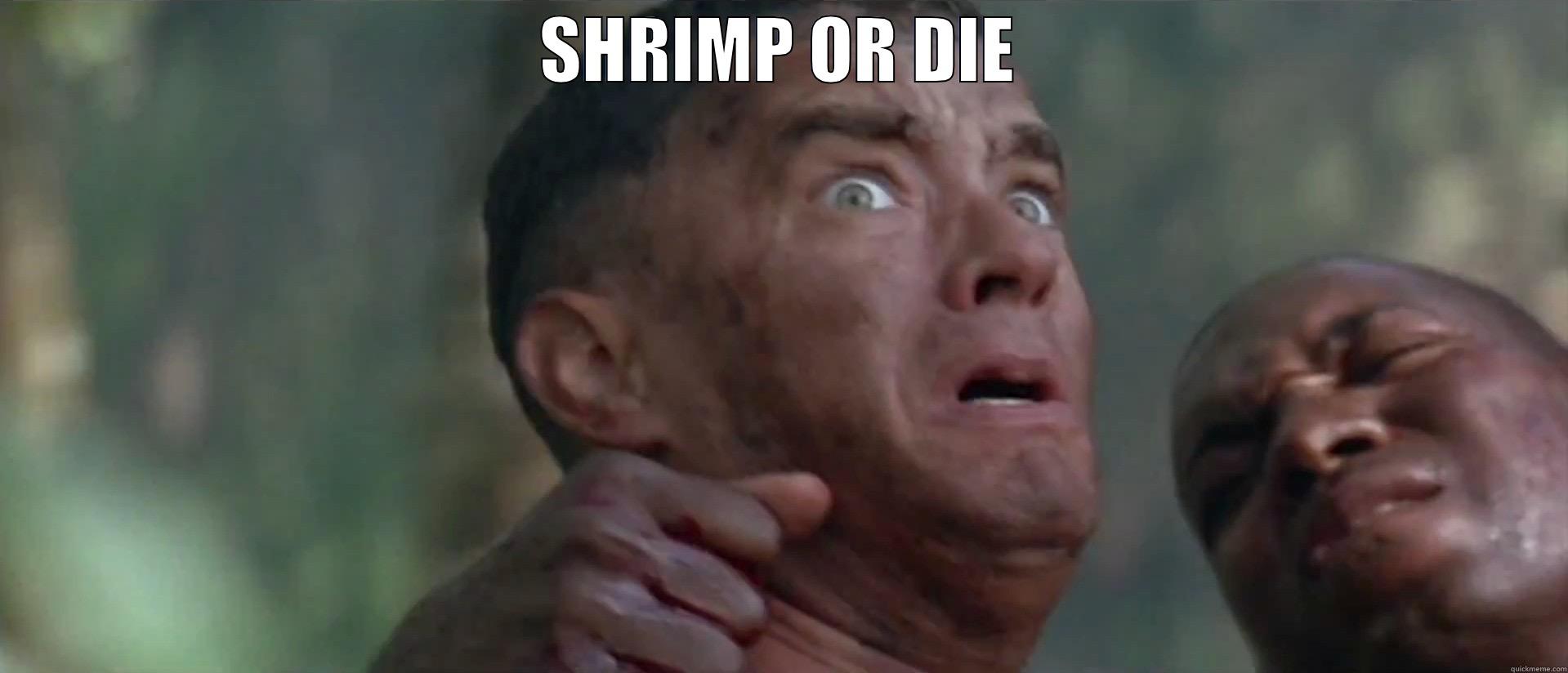 SHRIMP OR DIE  Misc