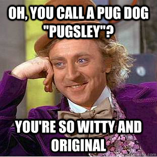Oh, you call a pug dog 