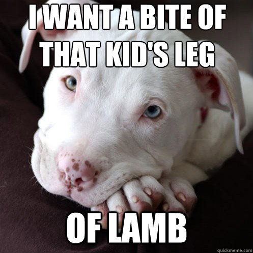 I want a bite of that kid's leg of lamb - I want a bite of that kid's leg of lamb  Misunderstood Pit Bull