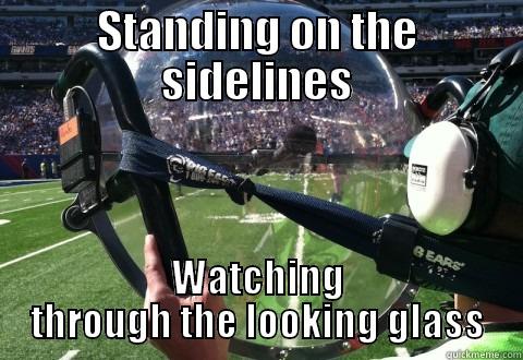 STANDING ON THE SIDELINES WATCHING THROUGH THE LOOKING GLASS Misc