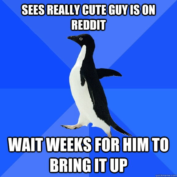 Sees really cute guy is on reddit wait weeks for him to bring it up  Socially Awkward Penguin