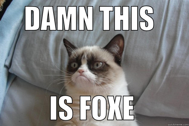 DAMN THIS  IS FOXE Grumpy Cat