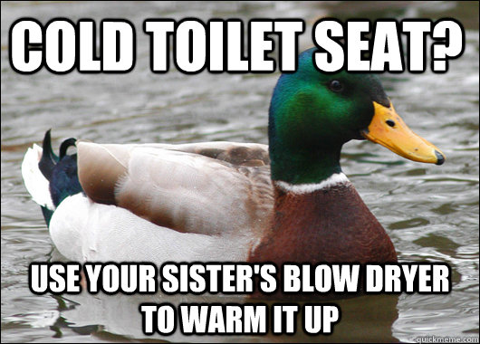 Cold toilet seat? Use your sister's blow dryer  to warm it up  Actual Advice Mallard