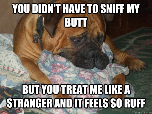 You didn't have to sniff my butt But you treat me like a stranger and it feels so ruff - You didn't have to sniff my butt But you treat me like a stranger and it feels so ruff  Sad Dog