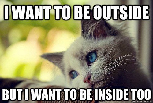 I want to be outside but I want to be inside too  First World Cat Problems