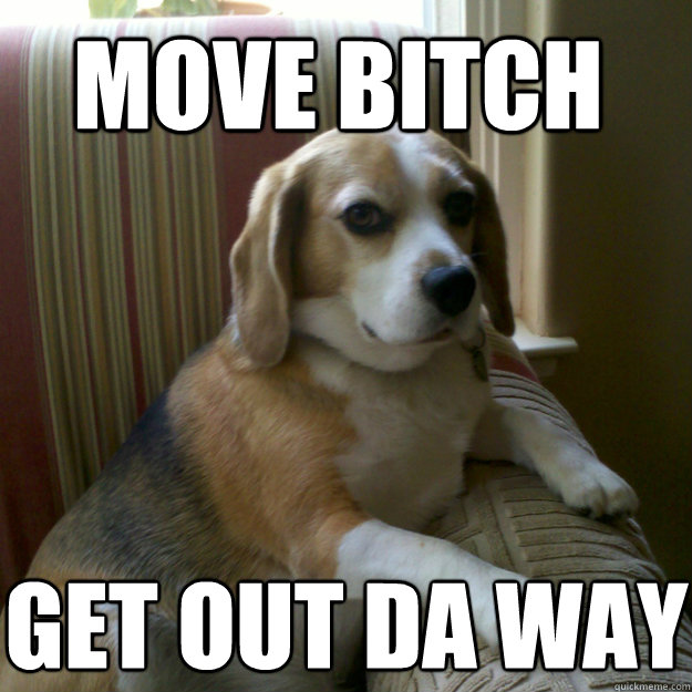 Move Bitch Get out da way - Move Bitch Get out da way  judgmental dog